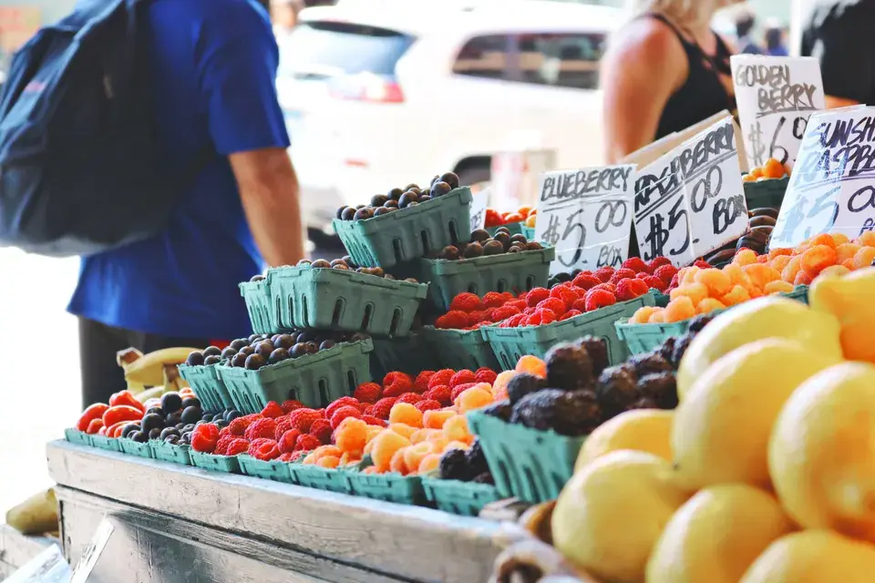 Explore Princeton, New Jersey in Princeton